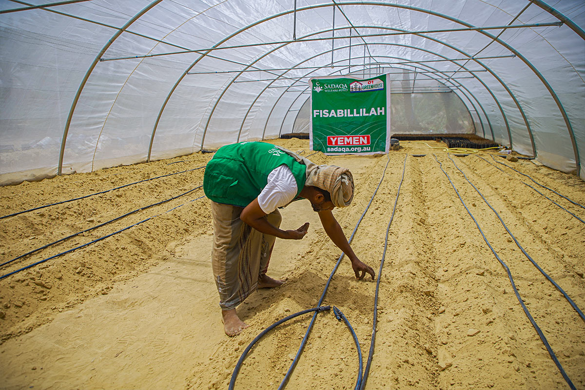 Farming (Greenhouses) in Yemen